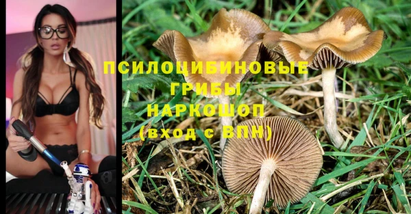 эйфоретик Абдулино