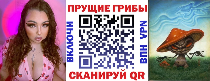 Псилоцибиновые грибы Psilocybine cubensis  Цоци-Юрт 