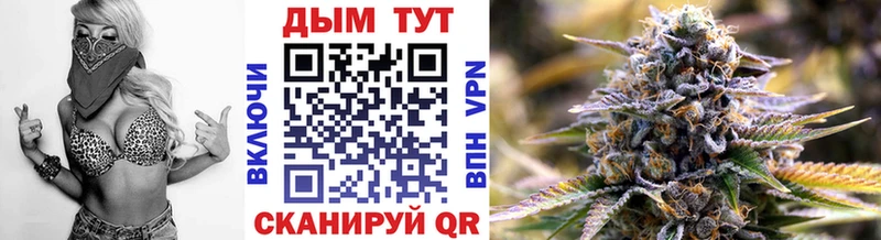 Каннабис Ganja  Цоци-Юрт 